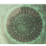 multi pole magnet suit for your requirements